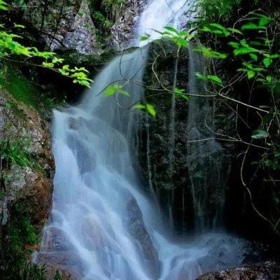 chadha_twinkle's profile picture. 