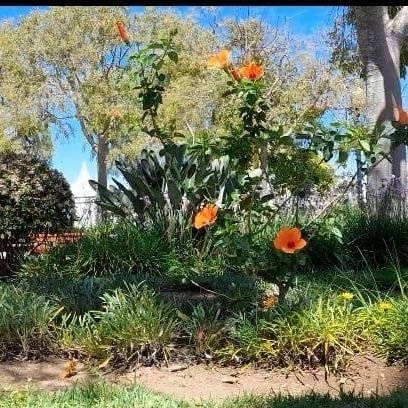 mconnerpsych's profile picture. Ego and Super Ego enter a bar, but the bartender says I'm gonna need to see some ID.

I'm here all night