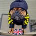 Little man (@mikeyb1021984) Twitter profile photo Little man (@mikeyb1021984) Twitter profile photo
