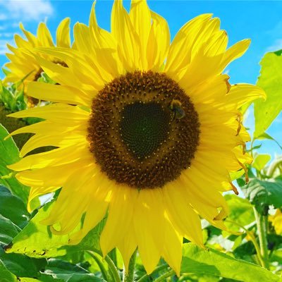 Beautiful Aesthetic 💛beauty~art~nature~animals~nostalgia~architecture