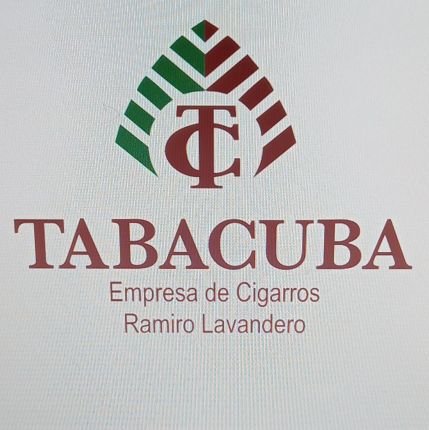 Directorcap_hum's profile picture. 