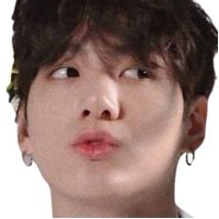 kookie⁷ || (@majitokoo) 's Twitter Profile