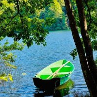 صقر (@falhsny8700) Twitter profile photo