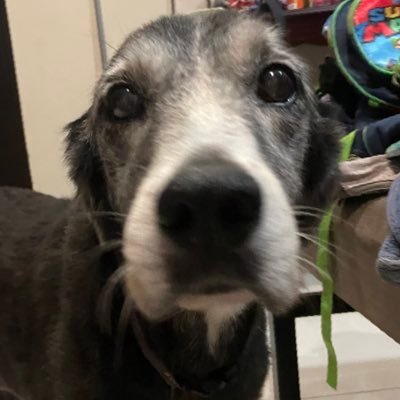 Viann1783's profile picture. 