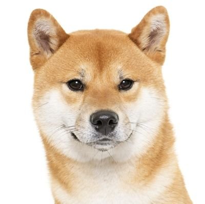 zdJ4PsDpms57426's profile picture. 