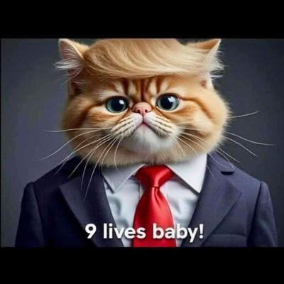 Trumplandslde's profile picture. One way ticket for deep state corruption.
Liberalism is an incurable disease.  Rinos are just as bad!  Drain the swamp!