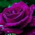 Ziya retci38 (@zretci38) Twitter profile photo Ziya retci38 (@zretci38) Twitter profile photo