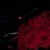 Salama 🤍 (@bint_almuri) Twitter profile photo Salama 🤍 (@bint_almuri) Twitter profile photo
