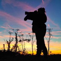 Jen 🐾 Animal Photographer (@felinedoggeous) Twitter profile photo