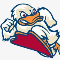 StevensWBBALL (@stevenswbball) 's Twitter Profile