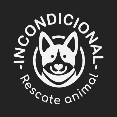➡️ Antes SOS Pet Rescate
- Rescatamos desde el 2017
- Recuperamos su salud
- Buscamos hogares amorosos y responsables.
❎No tenemos albergue