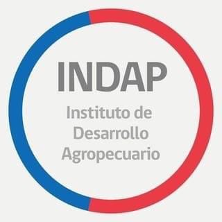 Somos INDAP Aysén y promovemos el desarrollo integral de las y los pequeños productores y campesinos 💚🧉🤝