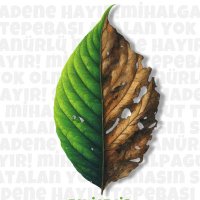 ESKİŞEHİR DOĞA ve YAŞAM PLATFORMU (@alpagutatalan) 's Twitter Profile Photo ESKİŞEHİR DOĞA ve YAŞAM PLATFORMU (@alpagutatalan) 's Twitter Profile Photo
