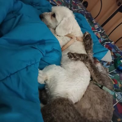 smargdi's profile picture. κοσμήματα μόνο με ανακυκλώσιμα