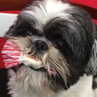 Jamie (@witchywoman1717) 's Twitter Profile