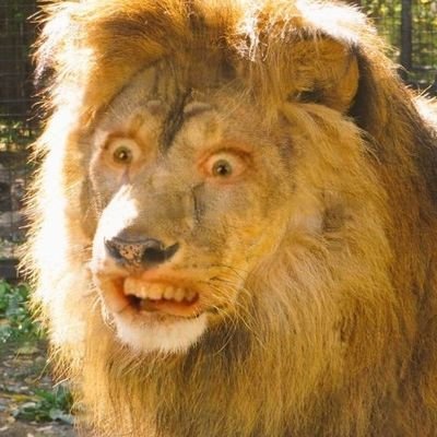 buthoemthoe77's profile picture. 