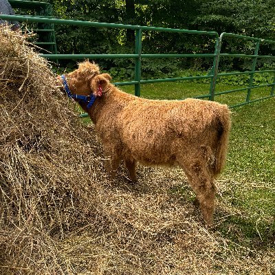 lorne37's profile picture. Leave who and where better than when you arrived