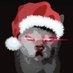 Kitler (@kitler512) Twitter profile photo Kitler (@kitler512) Twitter profile photo