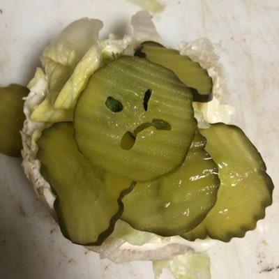 pickleserrday's profile picture. God first🙏🏼✝️ Christ is King 👑 KAFIR (كافر )Proud Patriot 🇺🇸 MAGA SOUTHERN RAISED HILLBILLY
