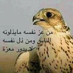 LyKhald17404's profile picture. ($ 👈 عـاشـــق مــؤخـــرات 😘 الـنـسـاء الـفـاتـنـــات الجميلات 😘 وارغب في تكوين علاقه مع واحدة 👍  مربربة والتي تمتلك 😘 مؤخرة ساحرة في الجمال  😘 👍 👉 $)