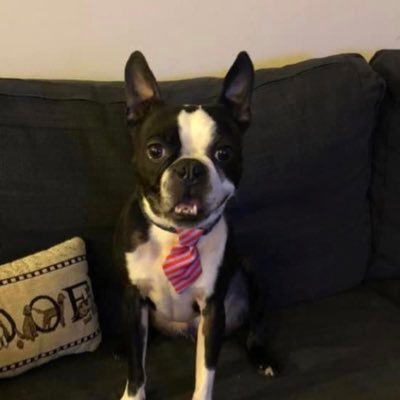 nextswat's profile picture. Motor city resident, pilot, spanko, adventurer!!