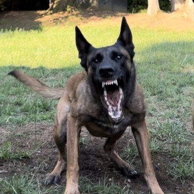 jarrettracing's profile picture. I used to use Twitter