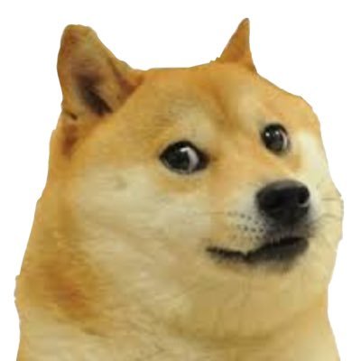 Pollo_Frito_420's profile picture. Degenerate Obsessed Gambling Enthusiast - DOGE
