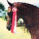 janice parry - @janiceparry - Twitter