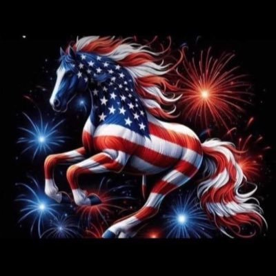 knightsaban's profile picture. Proud conservative Trump supporter-MAGA🇺🇸, protecting the future for my grandchildren 🚫DM 🚫Porn unless you pay me!