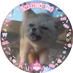 ãŽãã¡ã
(@pccu_1000) Twitter profile photo ãŽãã¡ã
(@pccu_1000) Twitter profile photo