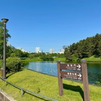 🇯🇵🌸楽しみが腕なら、あなたが一番強い人であってほしい (@pawankalyankol1) 's Twitter Profile
