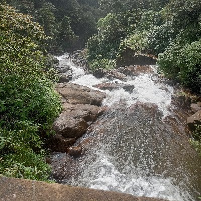 dhfm88300746's profile picture. 