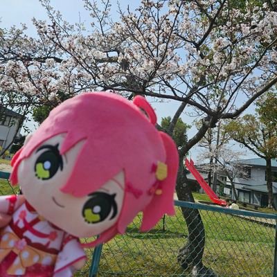 ぜろいち🌸さんのプロフィール画像