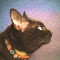 Fe (@heyitsfe) Twitter profile photo