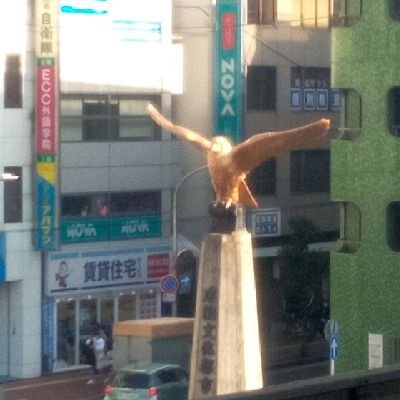 naonaka16's profile picture. 昨年9月12日でウェザーニュース会員4周年。おもち🐱ちくちゃん🐶とろろ🐱推しです😅わたげ🐇チャチャ🐕️シエル🐈️もかわいいな
気象予報士ではゆりちゅみさんとなおこさん推しです
キャンサーサバイバー(肝細胞がん)5周年を迎えました
画像は3年前の久米寺です
(注)DMお断り