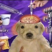 brando (@brandob3r) 's Twitter Profile Photo brando (@brandob3r) 's Twitter Profile Photo