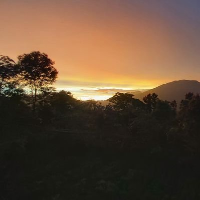 SSinha18255's profile picture. Simple And Committed Guy ...