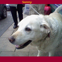 Dawn Burnett - @DawnBurnett1 - Twitter