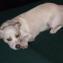 Sandy Adkins - @SaLeAd123 - Twitter