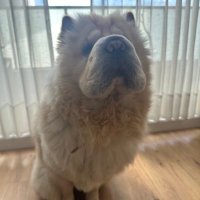 David Adell (@davidadell3366) 's Twitter Profile