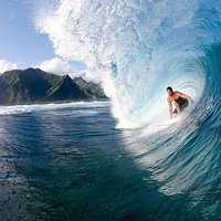 Hawaiian Patriot (@take808back) 's Twitter Profile