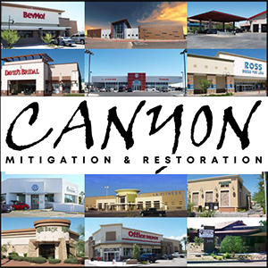 Licensed Arizona Professionals in Water, Fire, and Mold Remediation & Removal