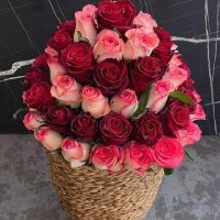 OMAR (@omar20798249) 's Twitter Profile