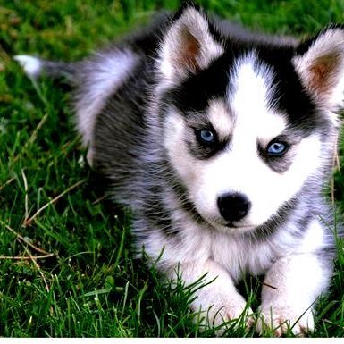 MlimaStella's profile picture. Passionate livist. staunch believer in empowering common man. works tirelessly to amply  the voices of kenyans