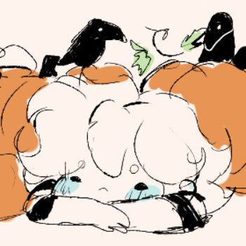 Rowanさんのプロフィール画像