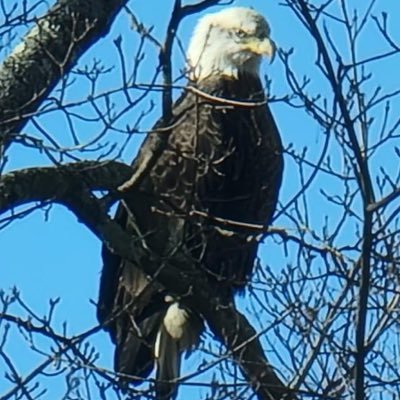 Nickumix's profile picture. 