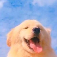 Enjoy:) 🐶 (@enjoy______joy) 's Twitter Profile