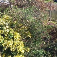 Paula (@paulateamencep) 's Twitter Profile