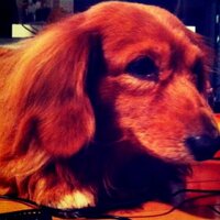 GODGODMAX (@godgodmax) 's Twitter Profile