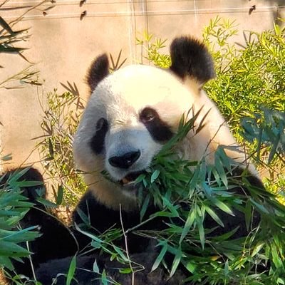 人生は1度きりしかないので、後悔しないように楽しみたいです‼️
推しは藤井風/King Gnu/オーイシマサヨシです。よろしくお願いします*\(^o^)/*